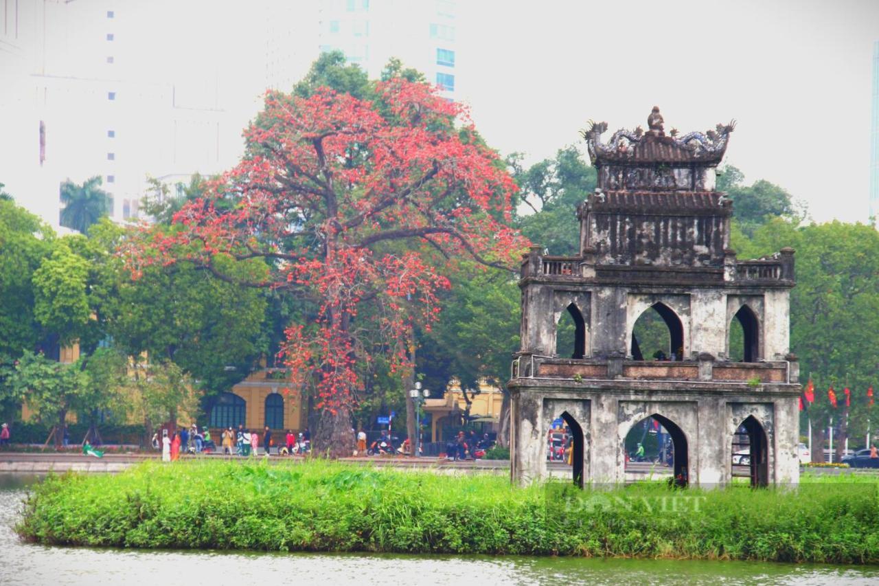 Bong Ha Noi Hostel Hanoi Esterno foto